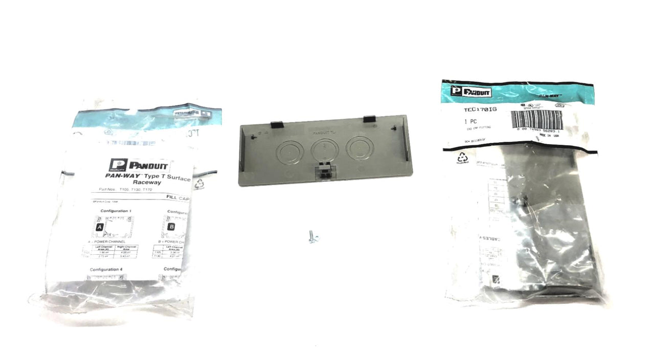 Panduit Surface Raceway End Cap Fitting TEC170 (TEC170IG) [Lot of 2] NOS
