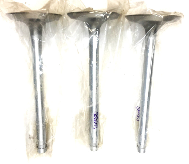 Sealed Power Engine Intake Exhaust Valve V2020 [Lot of 3] NOS