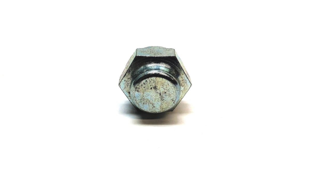 Bosch Timing Plug 1423462041 (1423462041-000) NOS
