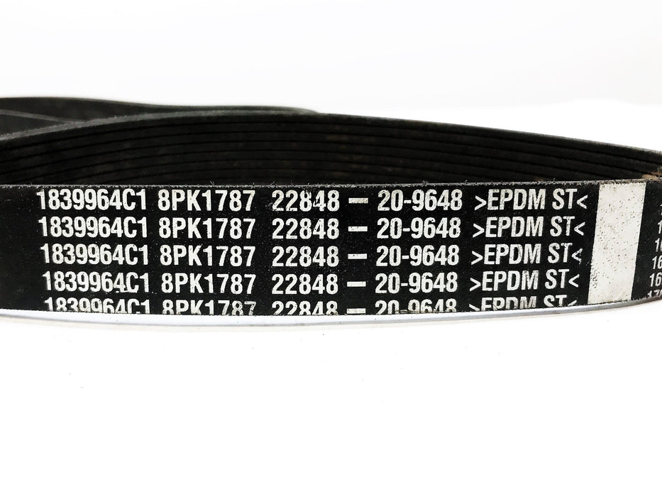 Fleetrite Serpentine Belt 1839964C1 [Lot of 2] NOS