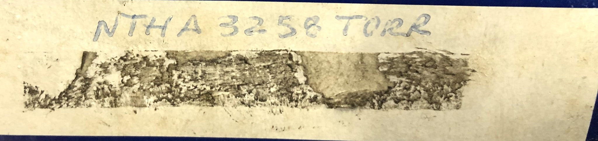 Torrington Thrust Needle Roller Bearing NTHA-3258 NOS