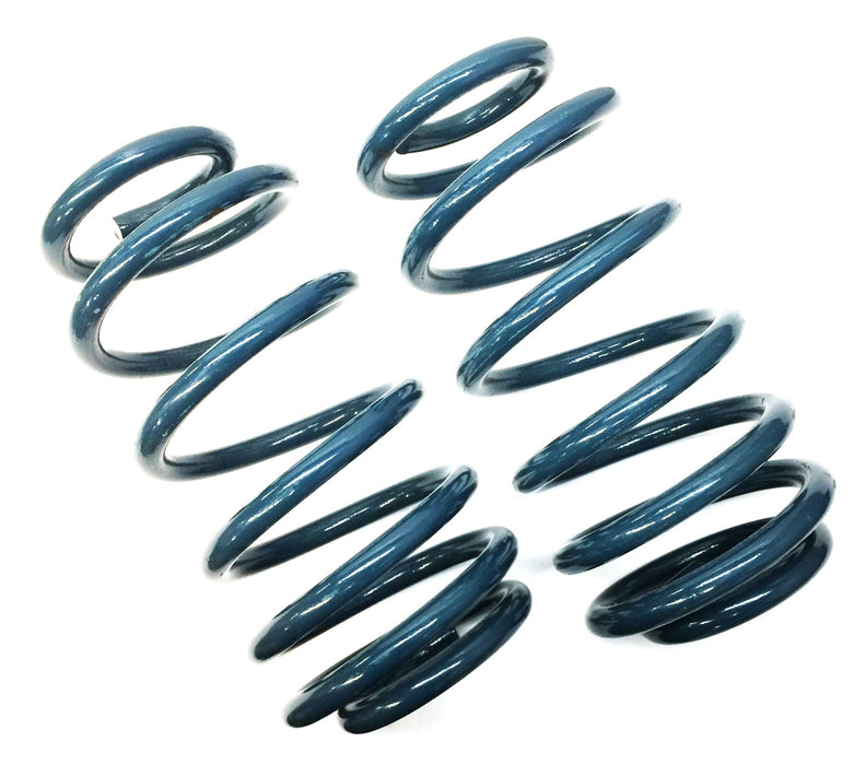 Variable Rate Coil Spring Set (2pcs) 64023 (45H3021) NOS