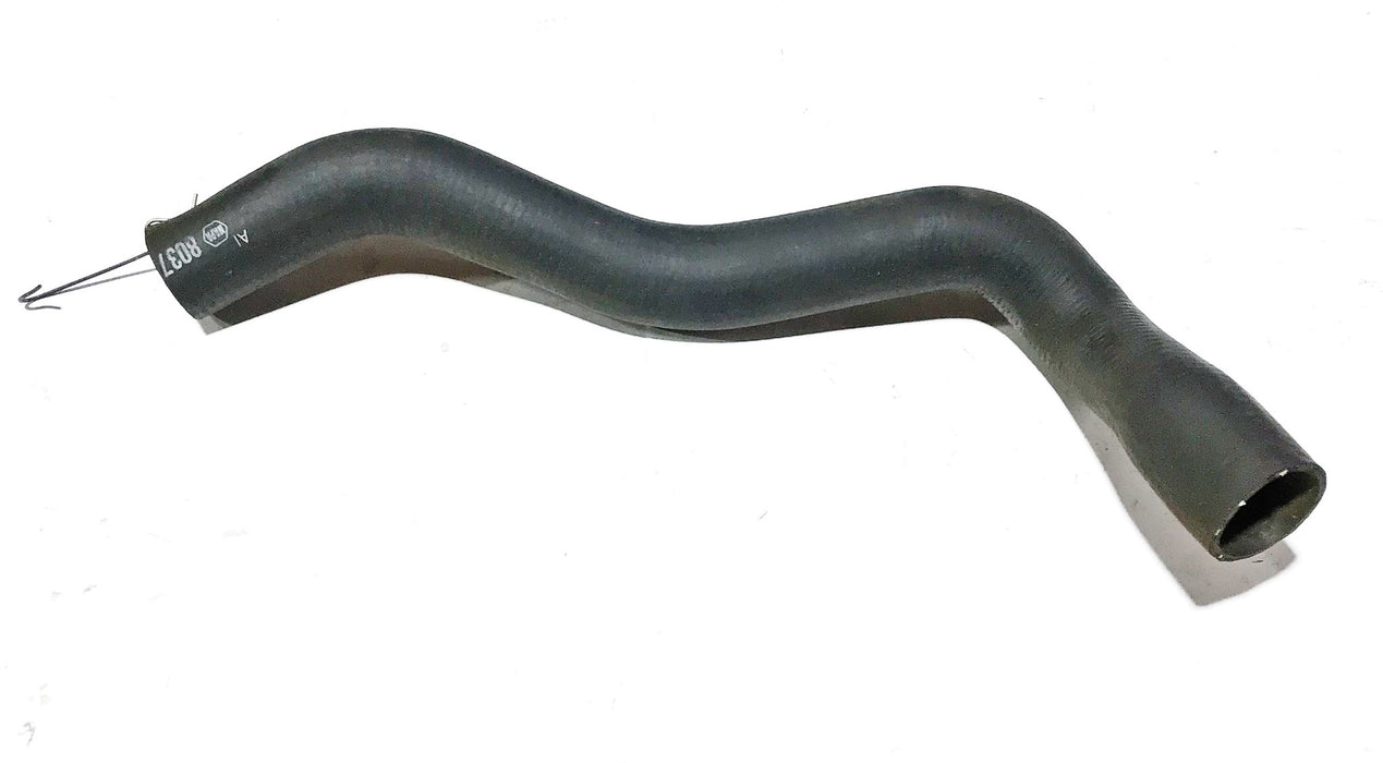 Napa Lower Radiator Hose 8037 NOS