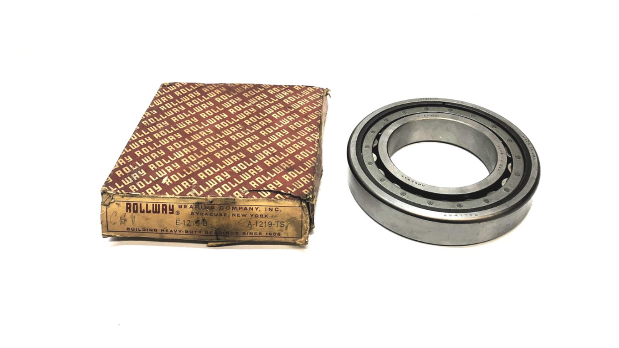 Rollway Cylindrical Roller Bearing E1219B NOS