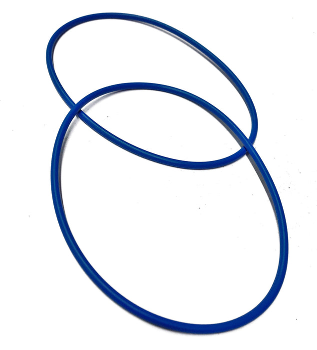 Detroit Diesel Accessory Drive Fuel Pump O-Ring Seal 8929253 [Lot of 2] NOS