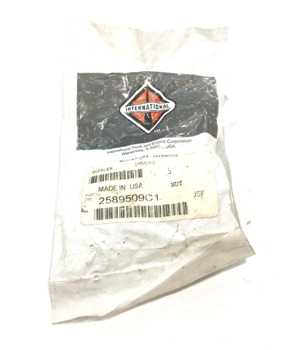 International/Navistar Slotted Nut 2589509C1 NOS