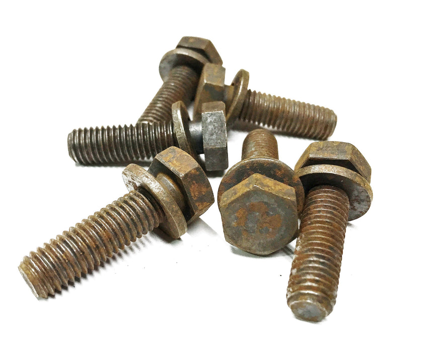 Cummins Cap Screw 3161093 [Lot of 6] NOS