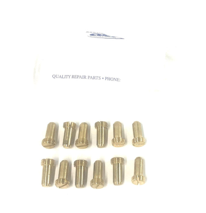 Delany Regulating Screw #4 [Lot of 12] NOS