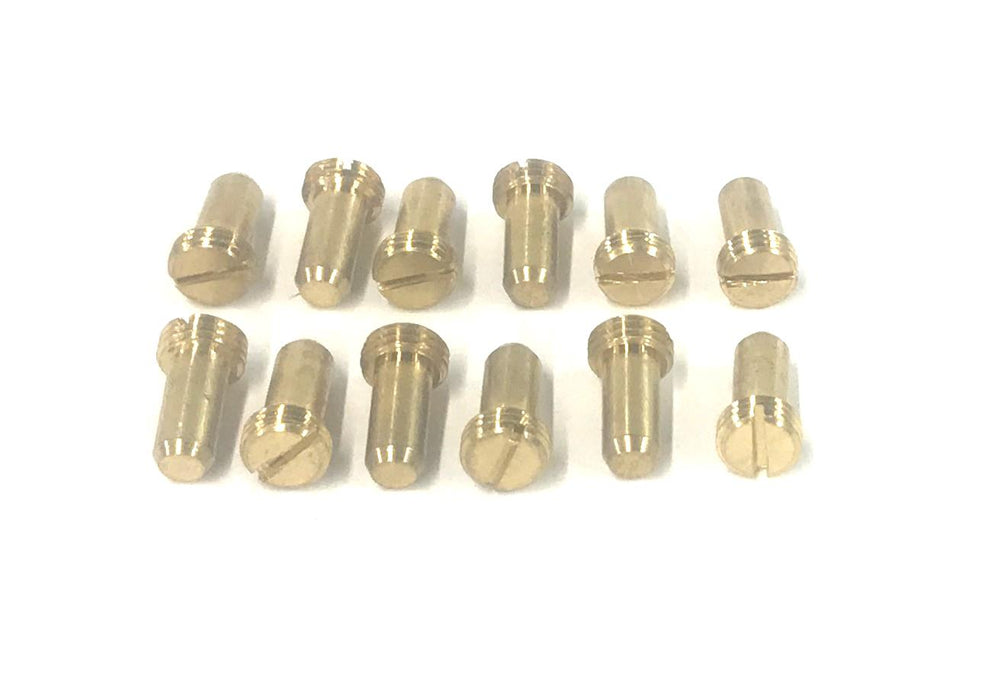 Delany Regulating Screw #4 [Lot of 12] NOS