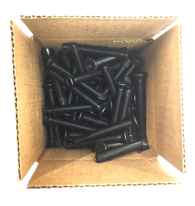 Unbranded 1/4"-20 X 2-1/4" Black Flat Torx Head T-40 Screw Pack (100pcs) NOS
