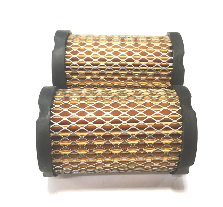 Napa Gold Air Filter 2419 [Lot of 2] NOS
