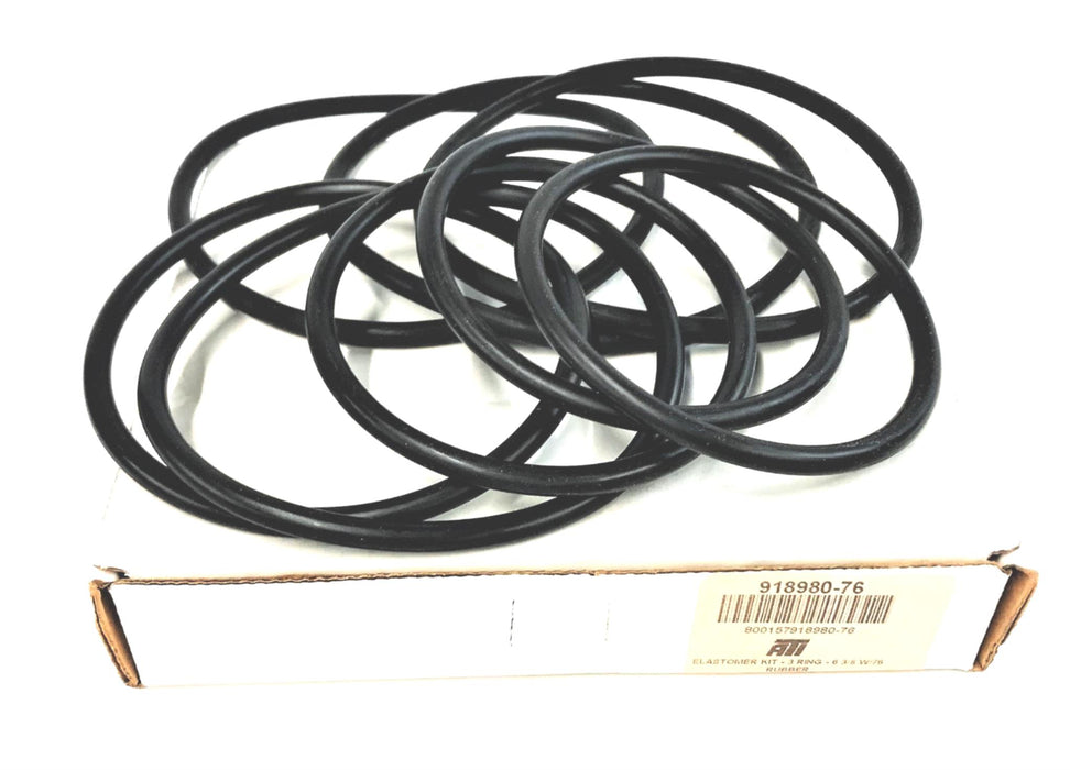 ATI PERFORMANCE 3 RING ELASTOMER KIT 918980-76 NOS