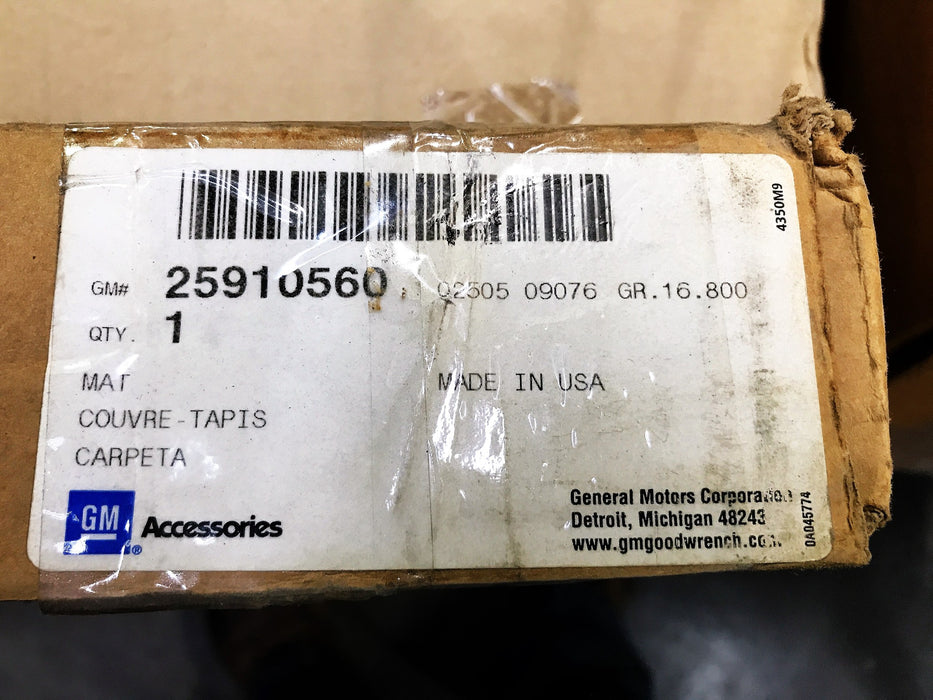 GM OEM Carpet Floor Mats Rear 25910560 NOS