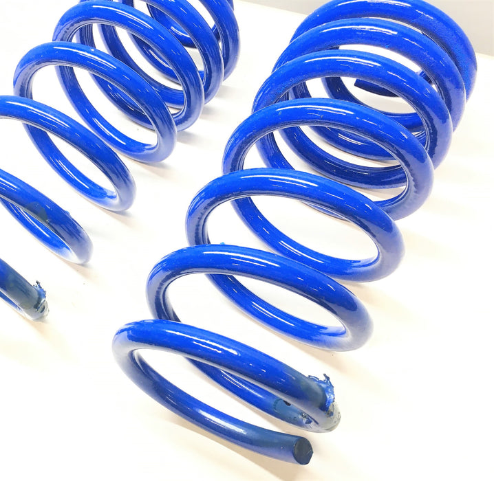 Moog Suspension Coil Spring Set Blue Pair CC659 NOS