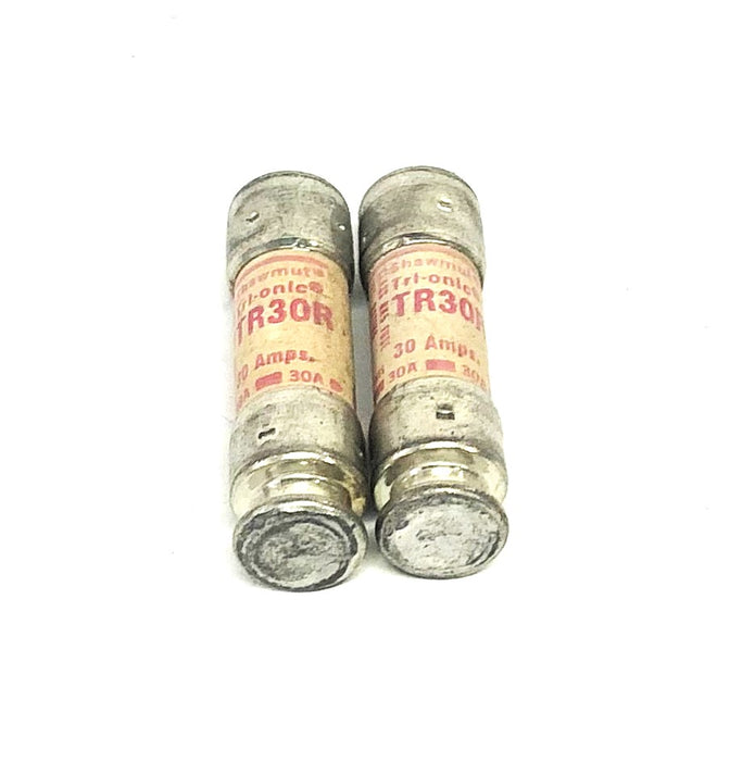 Bussmann Tri-onic 30A 250VAC Class RK5 Fuse TR30R [Lot of 2] NOS