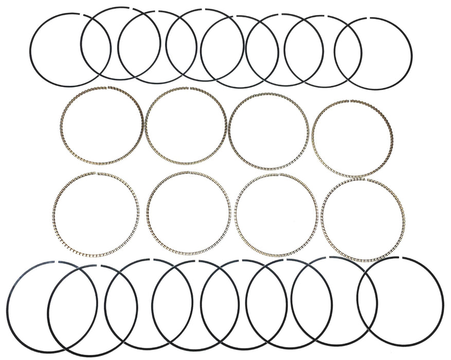 Hastings 8 Piece Set Piston Ring 45619 NOS