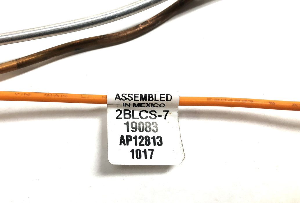 Robertshaw 2BLCS-7 Natural Gas Pilot Assembly AP12813 NOS