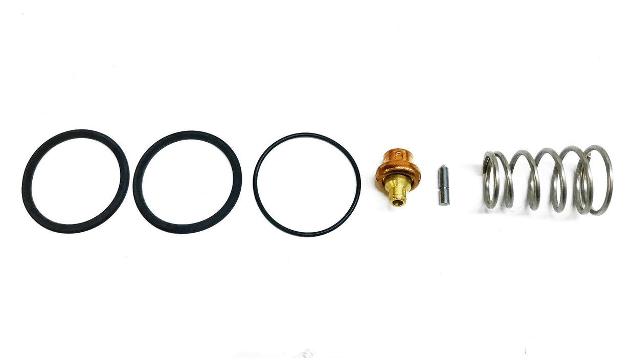 Bradley Thermal Valve Repair Kit S45-049 NOS