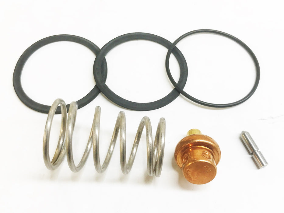 Bradley Thermal Valve Repair Kit S45-049 NOS