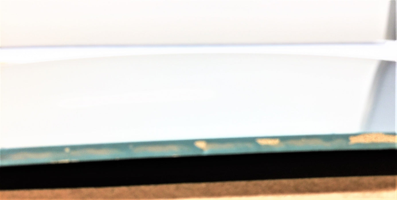 BLUEBIRD BUS Double-Nickel Convex Mirror Glass Only 4302436 NOS