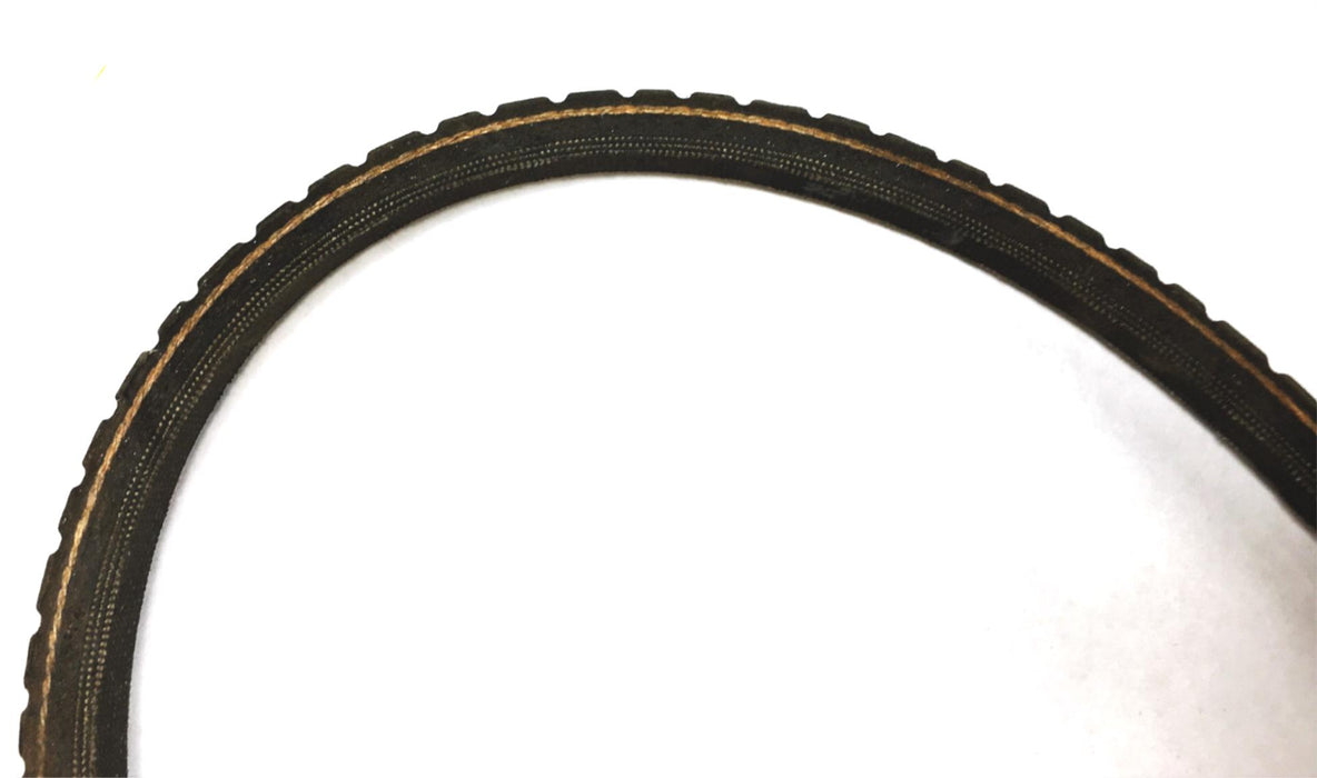 Dayco Top Cog Gold Label Serpentine Belt 17645 [Lot of 3] NOS