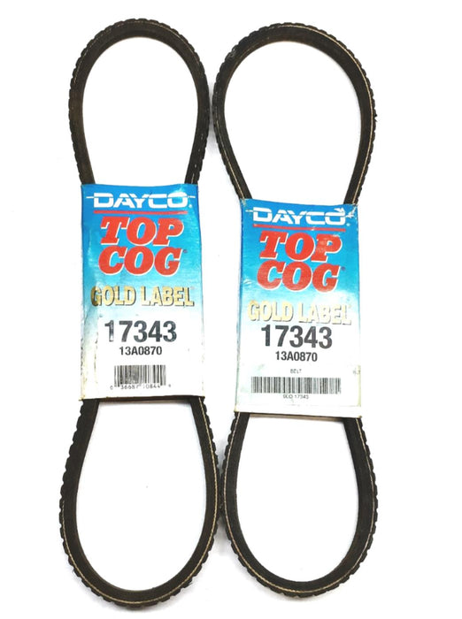 Dayco Top Cog Gold Label Serpentine Belt 17343 [Lot of 2] NOS