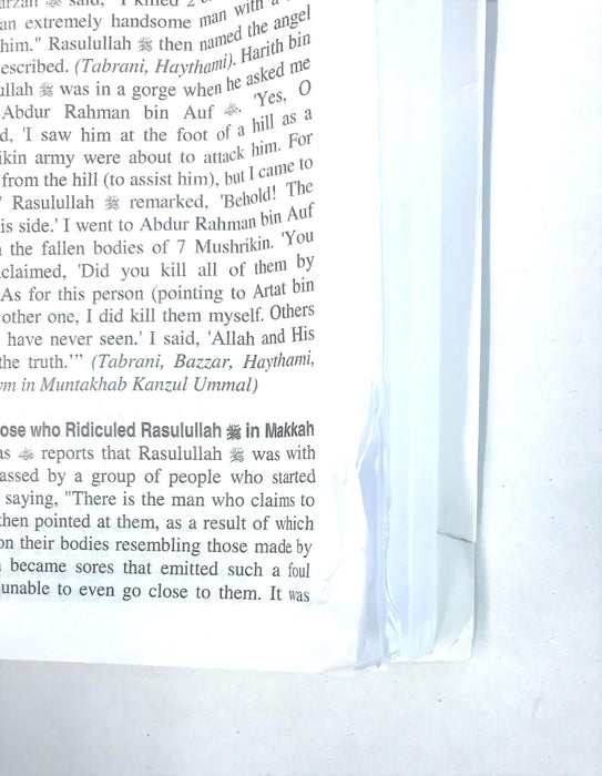 FINAL REVELATION HAYATUS SAHABAH BOOK *DAMAGED* 9780981727608 NOS