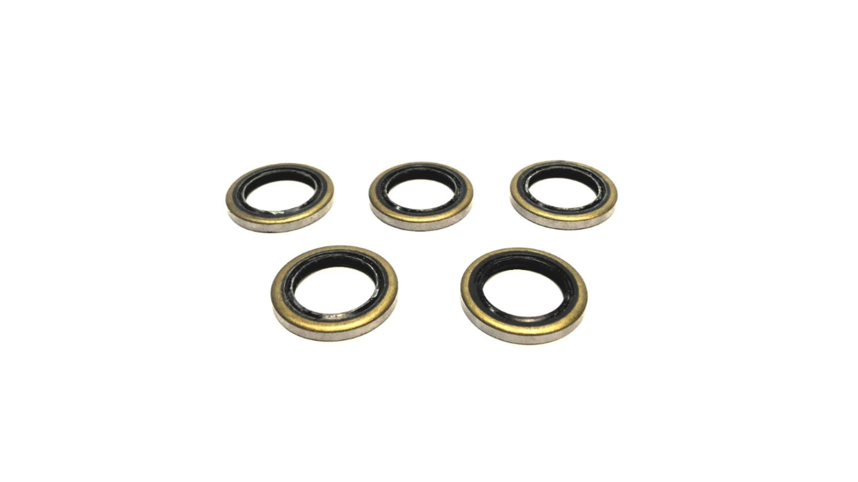 IKO-NOK 16mm ID x 24mm OD x 3mm Thick Single Lip Seal DS16243 [Lot of 5] NOS