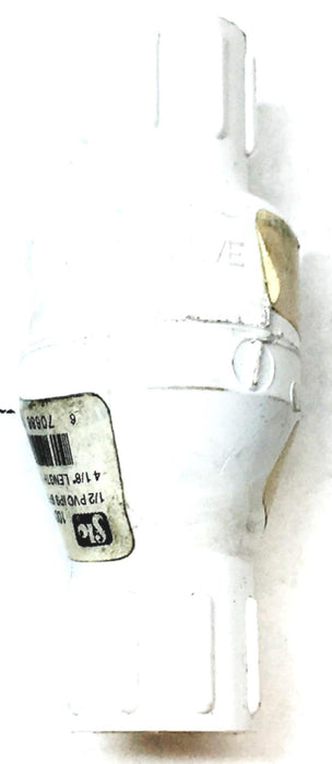 Dayton Check Valve 4RG64 NOS