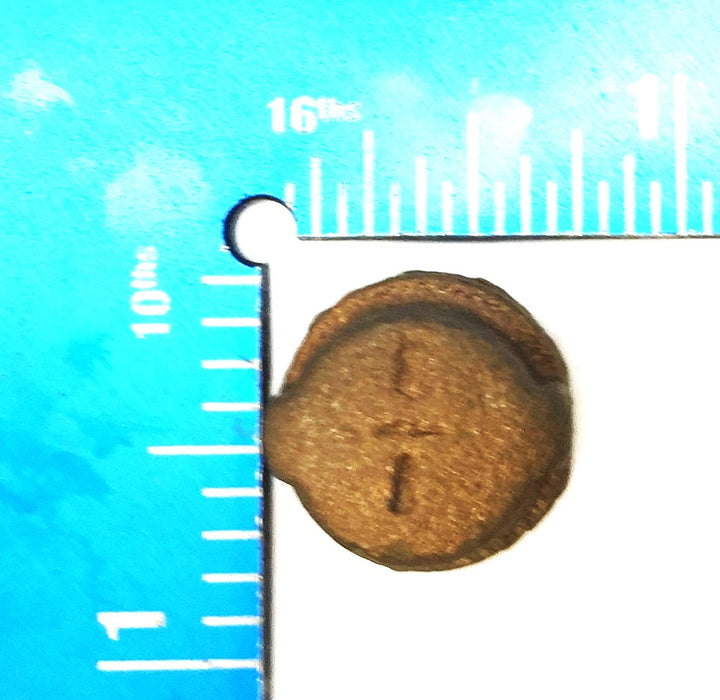 UNBRANDED 1/8" Flat Top Brass Cap [Lot of 5] NOS