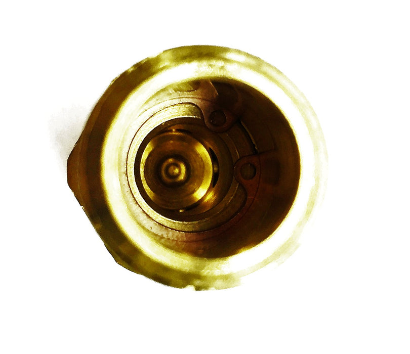 Unbranded Brass Check Valve 3/8in. 4DHV9 NOS