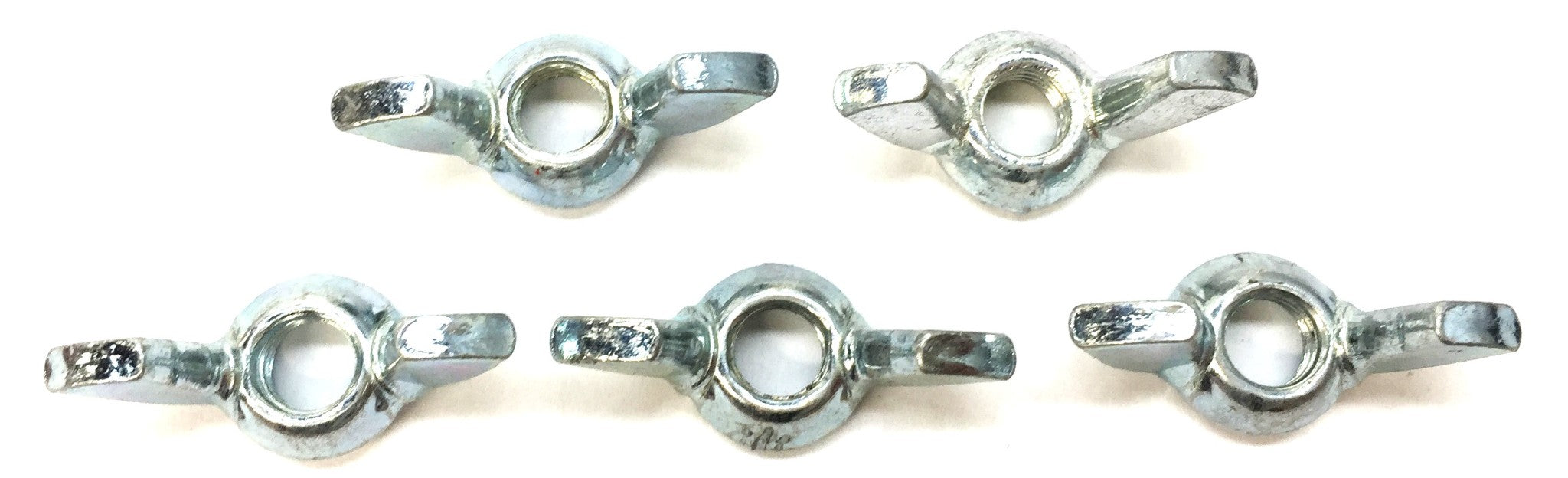 Unbranded 1/4"-28 Wingnut [Lot of 5] NOS