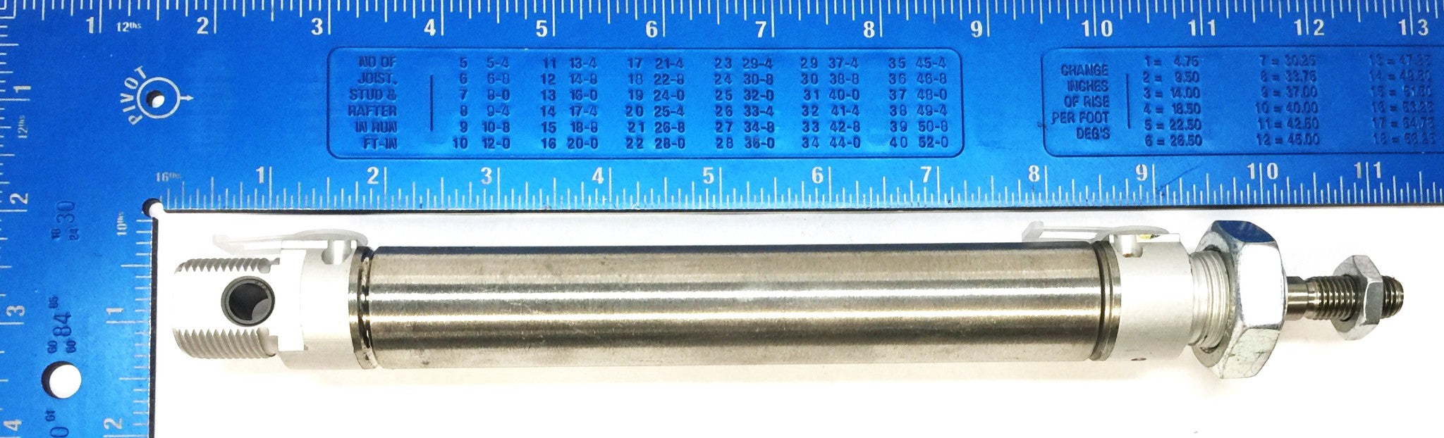 Festo Stainless Pneumatic Air Cylinder DSN-25-125-PPV NOS
