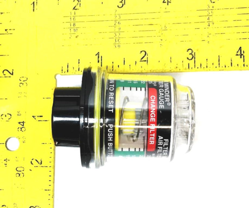 International Guage 539245C1 NOS