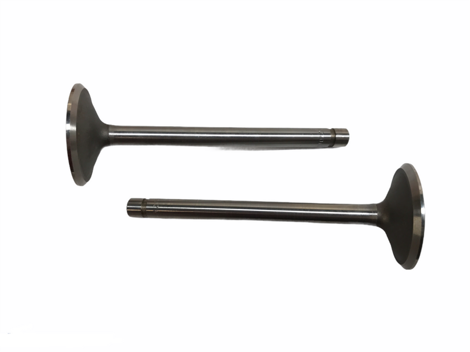 Federal Mogul Engine Intake Exhaust Valve Set V-3889 NOS