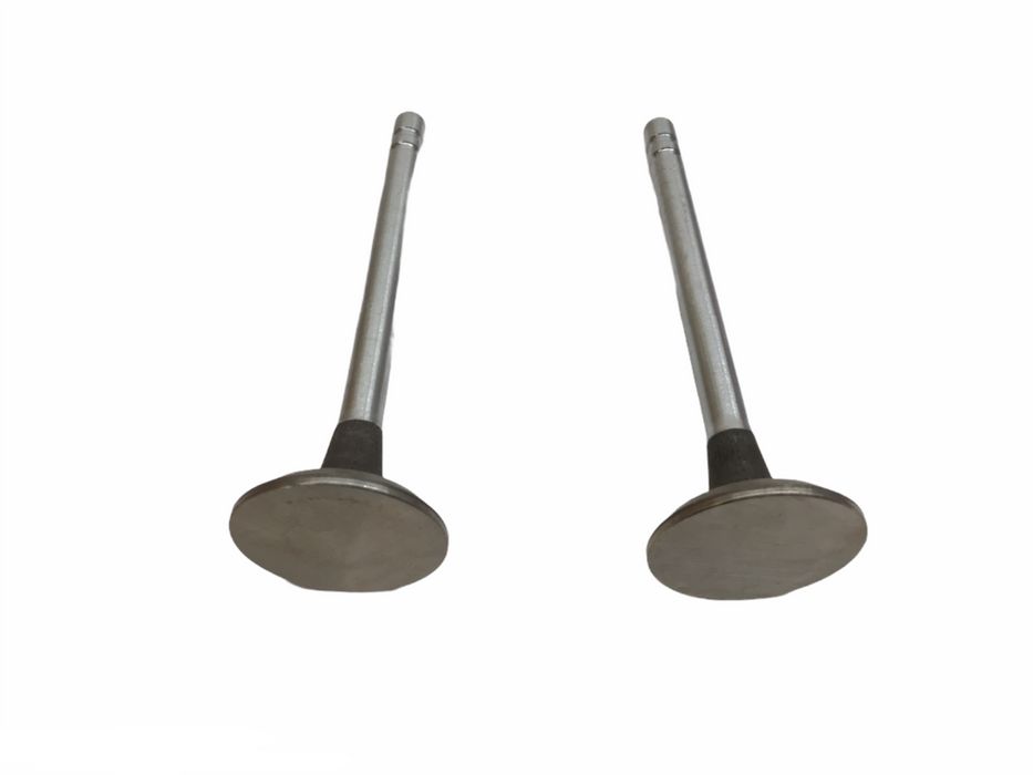 Federal Mogul Engine Intake Valve Set X4012S NOS