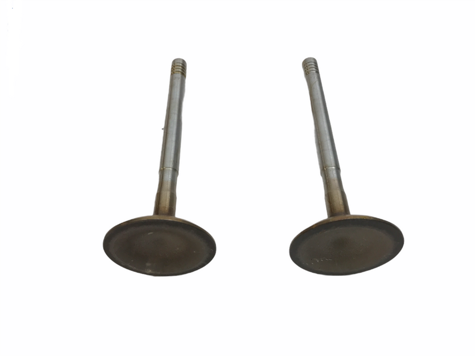 Federal Mogul Engine Intake Valve Set X3993 NOS