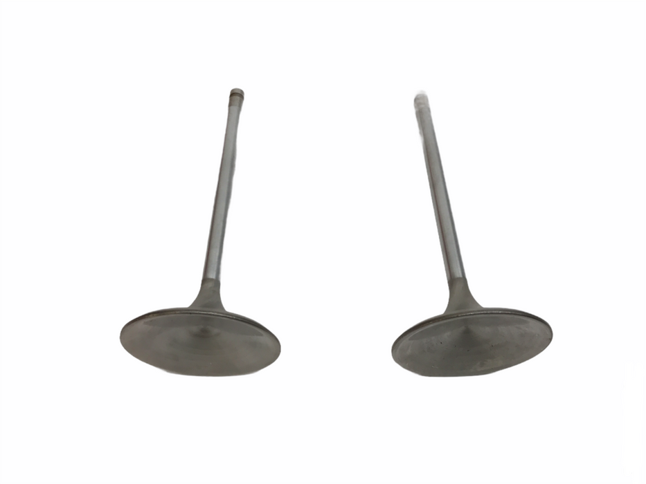 Federal Mogul Engine Intake Valve Set V3991 NOS