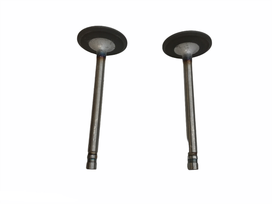 Federal Mogul Engine Intake Exhaust Valve Set V3378AL [Lot of 2] NOS