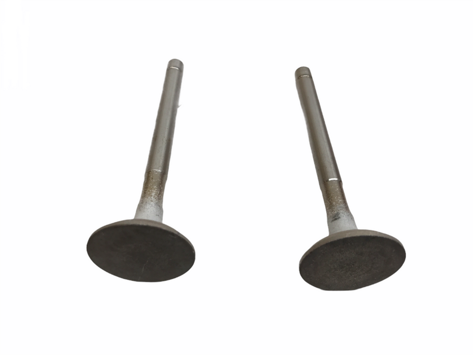 Federal Mogul Engine Intake Valve Set X10592 NOS