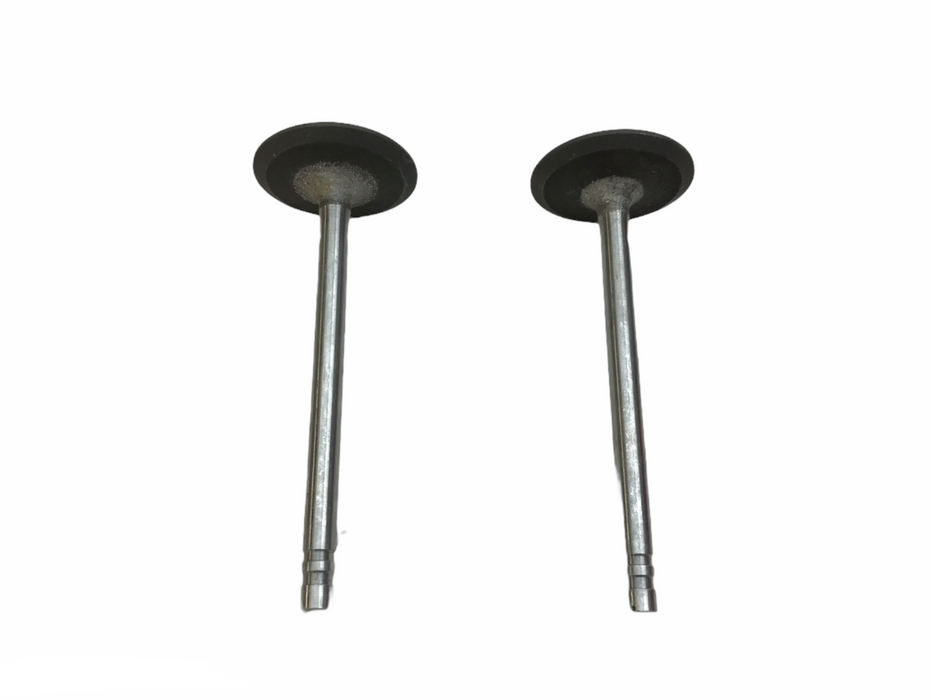 Federal Mogul Engine Intake Valve Set V3625 NOS