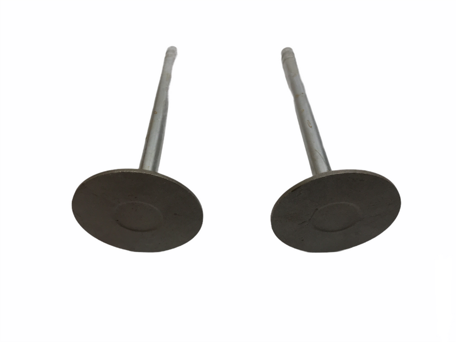 Federal Mogul Engine Intake Valve Set V4232 NOS