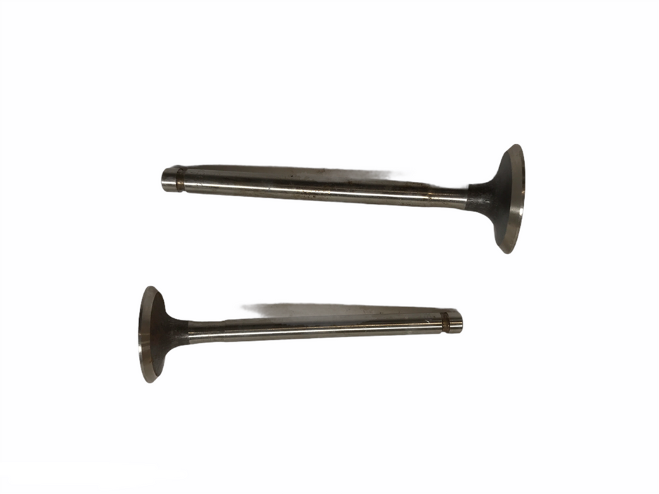 Federal Mogul Engine Intake Valve Set V10427 NOS