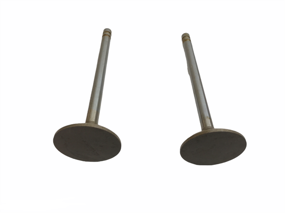 Federal Mogul Engine Intake Exhaust Valve Set X-3862AL NOS