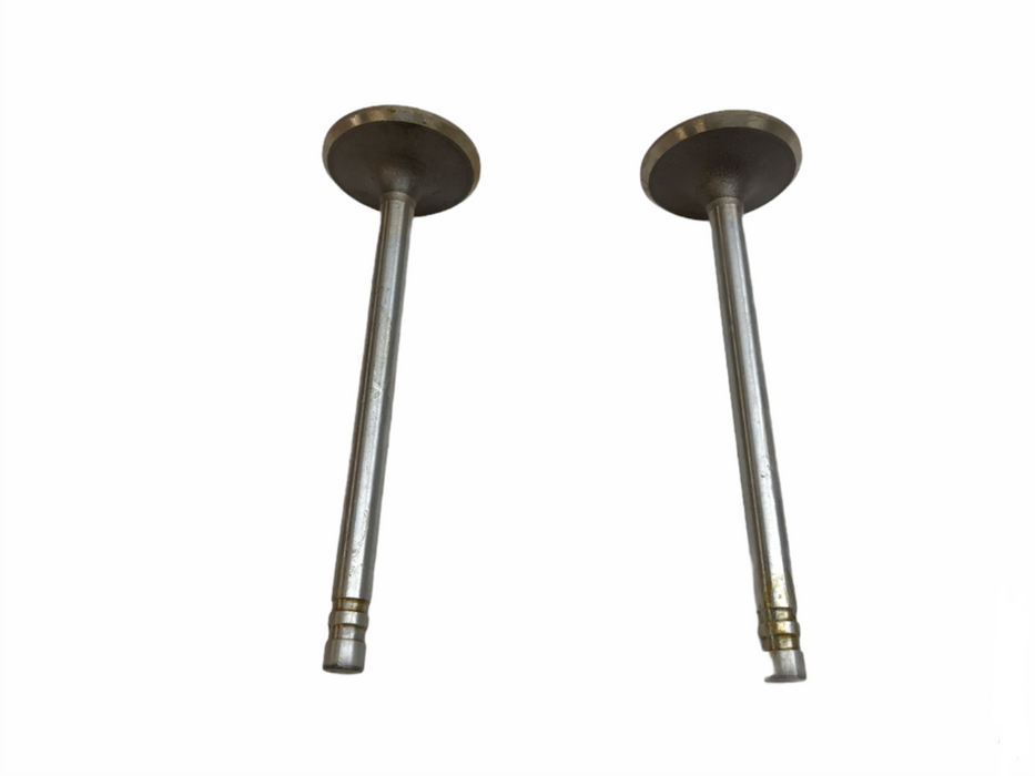Federal Mogul Engine Intake Exhaust Valve Set X-3862AL NOS