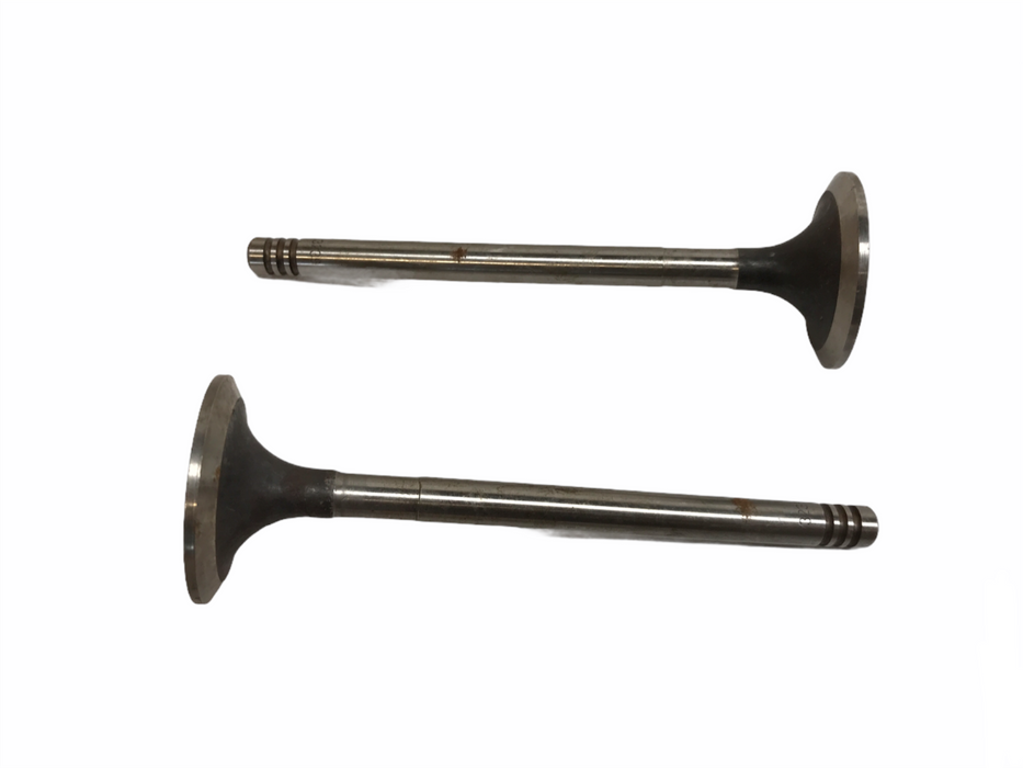 Federal Mogul Engine Intake Valve Set V-10293 NOS