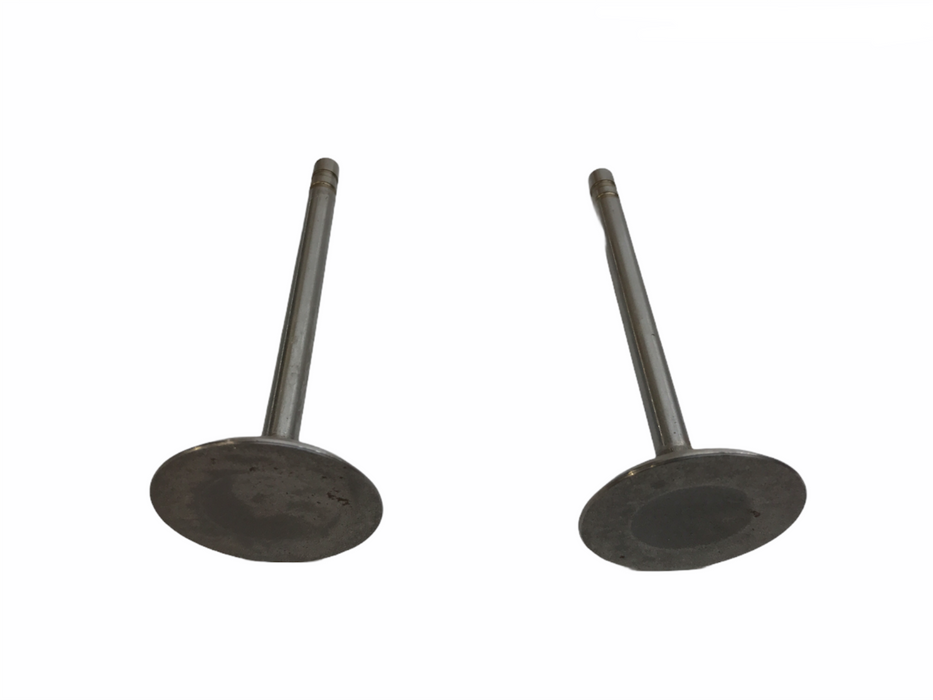 Federal Mogul Engine Intake Exhaust Valve Set V-3395 NOS