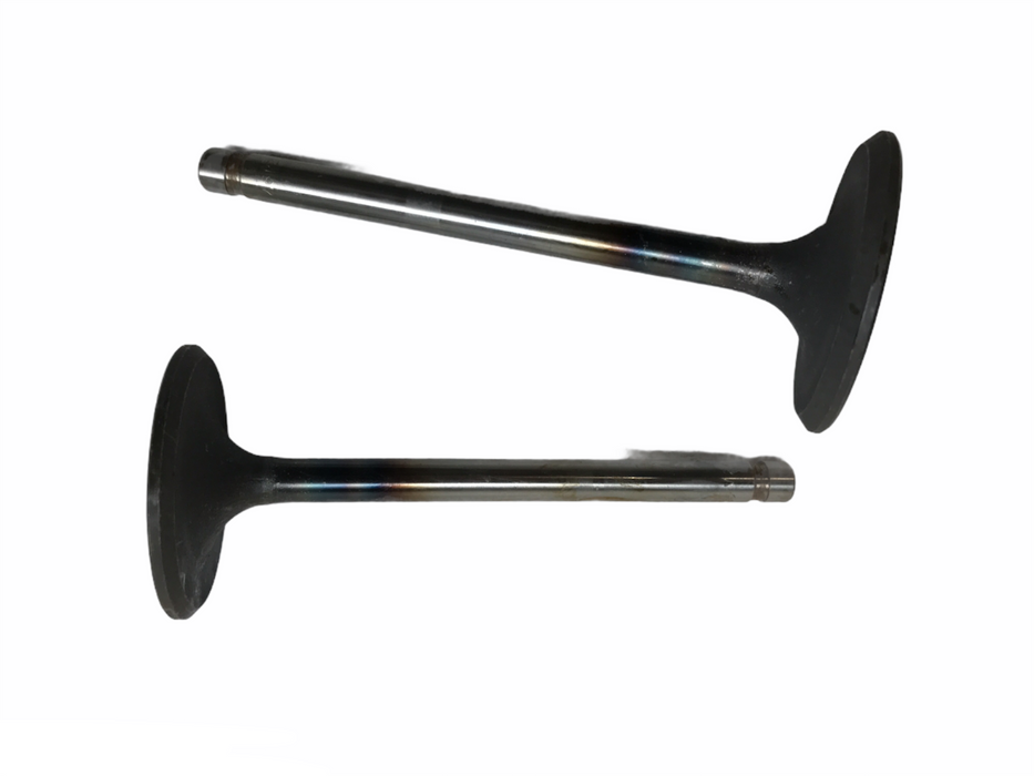 TRW Engine Intake Exhaust Valve Set V-2497 [Lot of 2] NOS