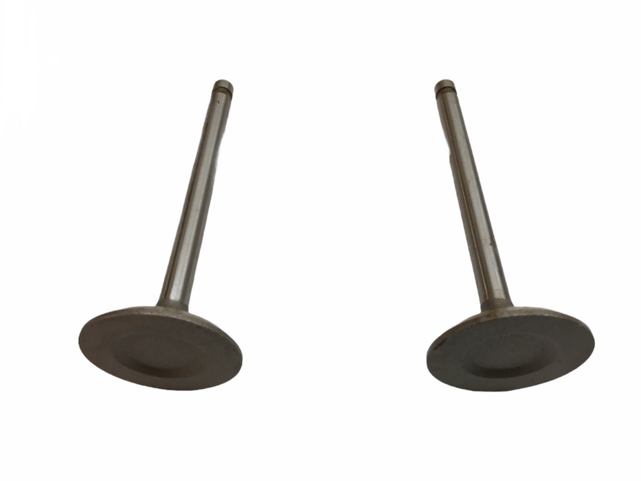 Federal Mogul Engine Intake Exhaust Valve Set V-3290AL [Lot of 2] NOS