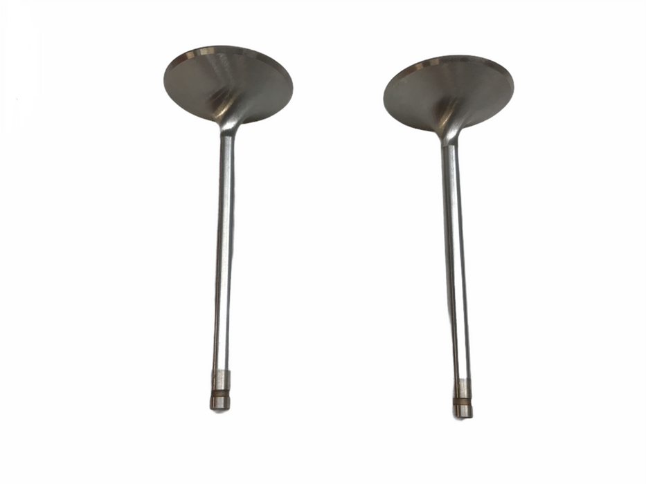 Federal Mogul Engine Intake Valve Set V3991 NOS